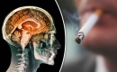 Quels sont les chiffres du tabac en France en 2020 ?